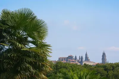 a palm tree with a city in the background at Cabañas Compostela - Cabaña a Carballeira in Santiago de Compostela