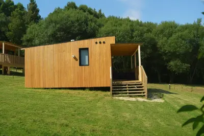 a small wooden cabin in a field with trees at Cabañas Compostela - Cabaña a Carballeira in Santiago de Compostela