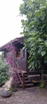 a small cabin with a wooden staircase leading up to it at Acogedora cabaña con piscina in Pontevedra
