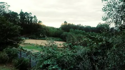 a view of a river with trees and a fence at Acogedora cabaña con piscina in Pontevedra