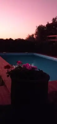 a pot of flowers sitting next to a swimming pool at Acogedora cabaña con piscina in Pontevedra