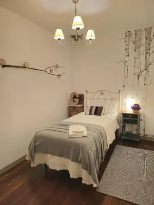 a bedroom with a bed with a blanket and trees on the wall at Casa San Pablo in Melide