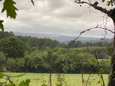 a field of green grass with trees in the background at Casal de Pedra in Santa Irene