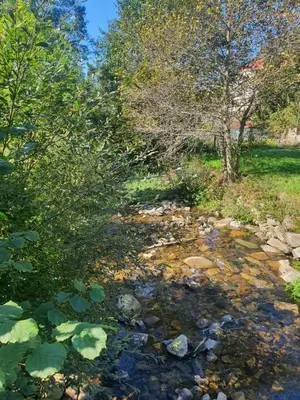 a stream with rocks and trees in a yard at Casa Celedonio in Cerredo