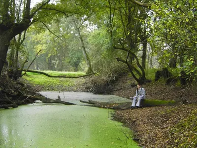 a man sitting on a log next to a river at Fervenza Casa Grande & Restaurante in Reguengo