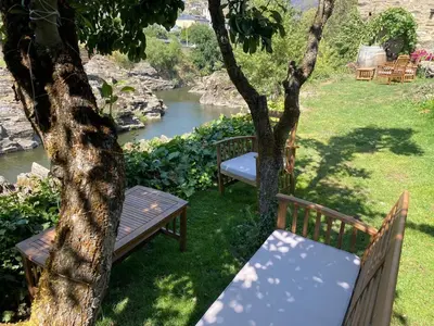 two benches sitting under a tree next to a river at A PONTEVELLA Alojamiento Boutique, Sobradelo in Sobradelo