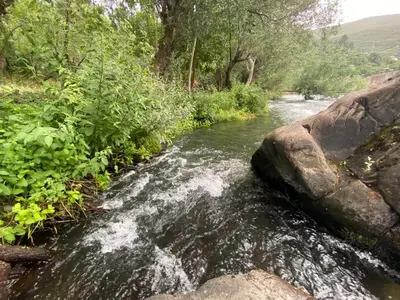 a stream of water with rocks and trees at A PONTEVELLA Alojamiento Boutique, Sobradelo in Sobradelo