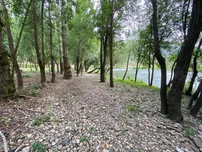 a path through a forest next to a body of water at A PONTEVELLA Alojamiento Boutique, Sobradelo in Sobradelo