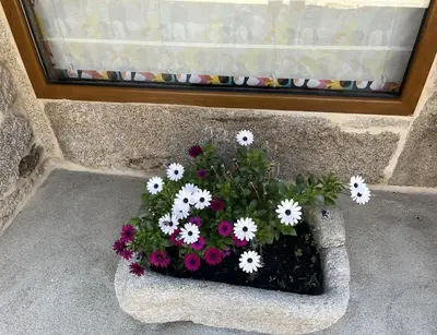 a pot of flowers sitting under a window at ACASADOCRUCEIRO in Vales