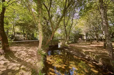 a river in a park with a bridge and trees at ALBERGUE SEGUE O CAMIÑO in Sigüeiro