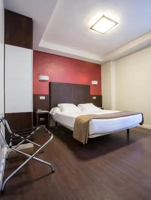 a bedroom with a bed and a chair in it at Hotel Alda San Carlos in Santiago de Compostela
