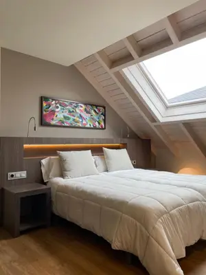 a bedroom with a large white bed with a skylight at Guiana Rooms & Suites in Ponferrada