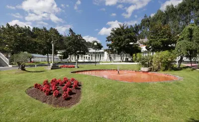 a park with a bunch of red flowers in the grass at Hotel Spa Congreso in Teo