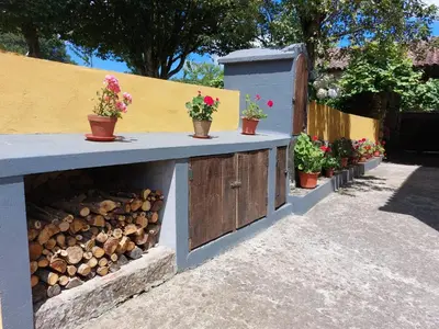 a wooden counter with pots of flowers and plants at Casas de Maragouzos in Silleda