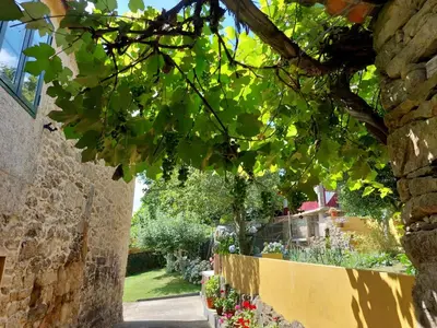a tree with green leaves and flowers in a garden at Casas de Maragouzos in Silleda