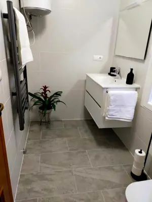 a bathroom with a sink and a potted plant at Apartamento en el casco antiguo de Ponferrada in Ponferrada