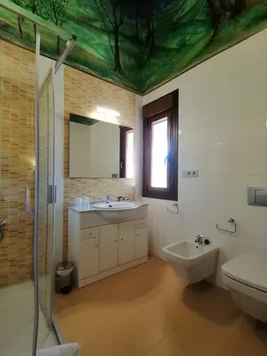 a bathroom with a sink and a toilet and a mirror at PENSIÓN RÚSTICA SANTA MARIÑA DA PONTE in Santa Marina del Puente