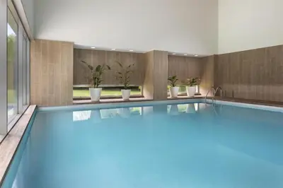 a swimming pool in a room with potted plants at NH Collection Santiago de Compostela in Santiago de Compostela