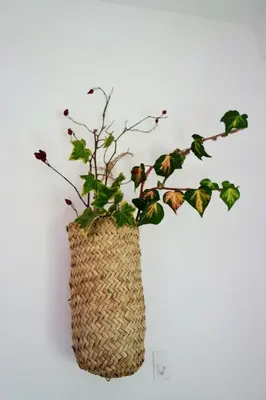 a plant in a basket vase on a wall at La Furmumecha in Villablino