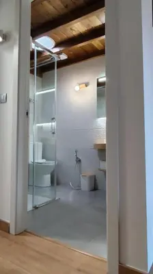 a bathroom with a shower and a toilet in a room at Casa Vilar de Flores in Ourense