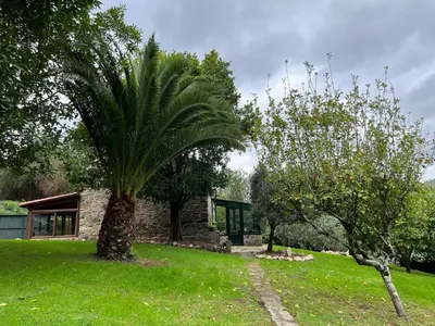 a palm tree in a yard next to a building at Rural Lambre by Miramar Stays in A Coruña