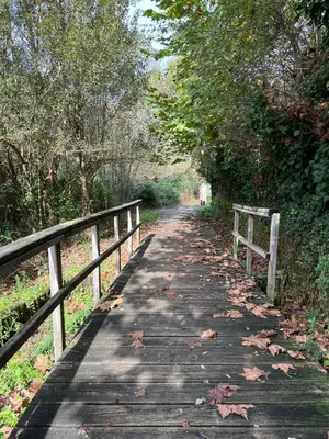 a wooden path with a fence and leaves on it at Rural Lambre by Miramar Stays in A Coruña
