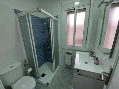 a bathroom with a toilet and a shower and a sink at Acea Nova 1 in Monforte de Lemos