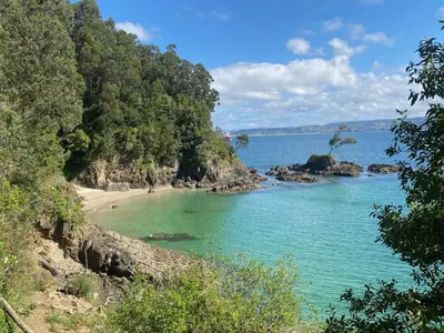 a view of a beach with trees and water at CASA FONTE DA PEDREIRA in Sada