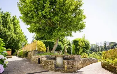 a tree in the middle of a garden with a fountain at Pazo do Rio in A Coruña