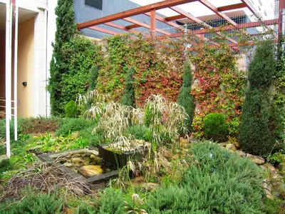 a garden with a wall of plants and flowers at Apartamentos Ciudad de Lugo in Lugo