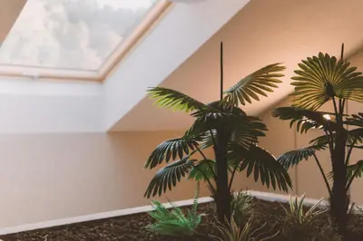 two palm trees in a room with a skylight at HOTEL CANDOR in A Lama