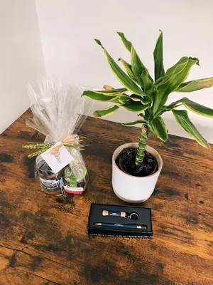 a potted plant sitting on a wooden table with a scale at Casa Amodiño in Belesar