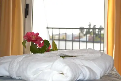 a vase with a flower sitting on top of a bed at Duerming Villa De Sarria Hotel in Sarria
