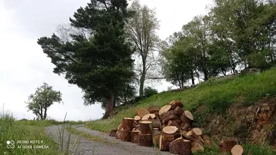 a pile of logs on the side of a dirt road at Casa el rey 12 - Apartamentos Buenos Aires y Figueras AR-1419-AS in Valbona