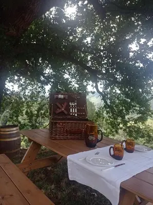 a picnic table under a tree with a table set up at Casa el rey 12 - Apartamentos Buenos Aires y Figueras AR-1419-AS in Valbona