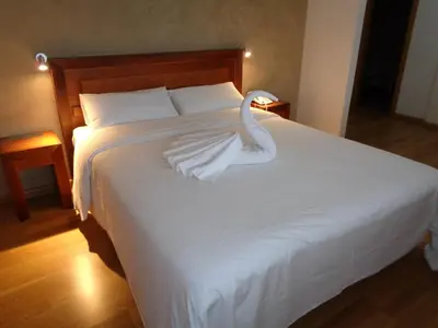 a white swan sitting on top of a bed at Hotel Villa De Betanzos in Betanzos