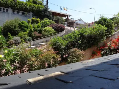 an empty street with stairs and plants on a hill at Hotel El Pescador in Perillo