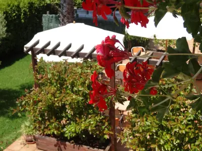 a picnic table and red flowers in a garden at Hotel El Pescador in Perillo