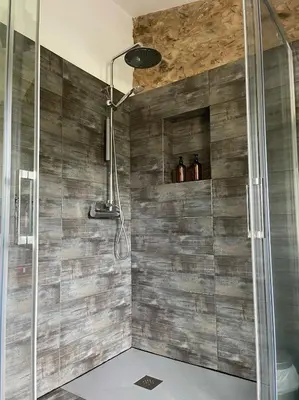 a shower in a bathroom with wooden walls at A Costa, Valle del Mendo in Oza dos Ríos