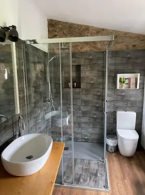 a bathroom with a shower and a sink and a toilet at A Costa, Valle del Mendo in Oza dos Ríos