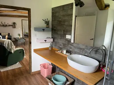 a bathroom with a sink and a large mirror at A Costa, Valle del Mendo in Oza dos Ríos