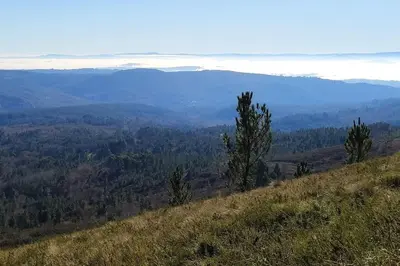 a hillside with a view of a valley with trees at Casa Carmiña: Casa para pequeños grupos en el corazón de Galicia in O Irixo