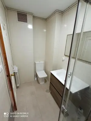 a bathroom with a toilet and a sink and a shower at A parada da Ribeira in Ourense