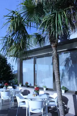 a palm tree sitting next to white tables and chairs at Hotel Santiago Apóstol in Santiago de Compostela