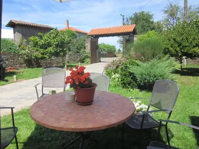 a patio table with a potted plant on it at Casa Assumpta in Arzúa