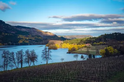 a view of a river in a vineyard with a lake at Houmi As Bouzas in Castrelo de Miño