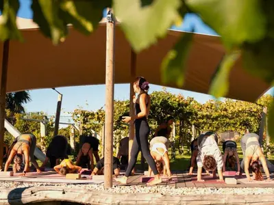 a group of people doing yoga with their dogs at Casa Beatnik Country House in Santiago de Compostela