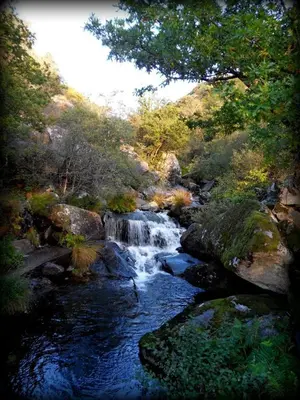 a stream of water in a forest with a waterfall at Casa da Laxa in Beáriz