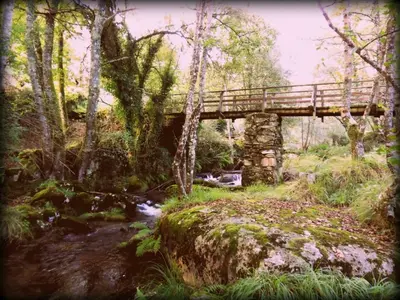 a wooden bridge over a stream in a forest at Casa da Laxa in Beáriz