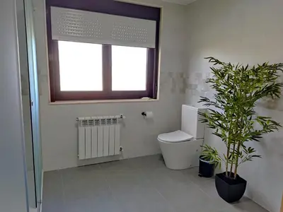 a bathroom with a toilet and a window and a plant at Casa Rigo en Sigüeiro, cerca de Santiago de Compostela in Sigüeiro